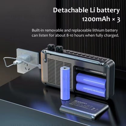 F50 Portable Old-Fashioned Rechargeable Radio Semiconductor Video Player Outdoors Multifunctional Wireless Bluetooth Speakers